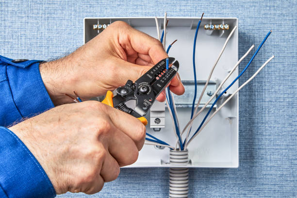 Best Electrical Panel Upgrades  in North Chicago, IL